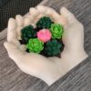 Bougie main/plantes Bougie main/plantes