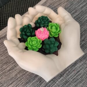 Bougie main/plantes