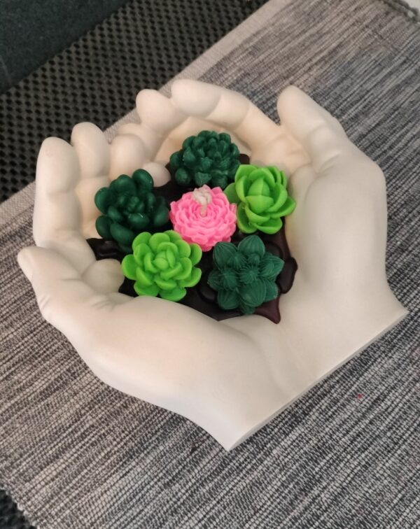 Bougie main/plantes Bougie main/plantes
