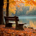 Automne & Halloween